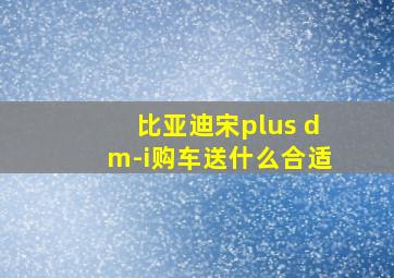 比亚迪宋plus dm-i购车送什么合适